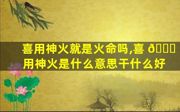 喜用神火就是火命吗,喜 🐕 用神火是什么意思干什么好